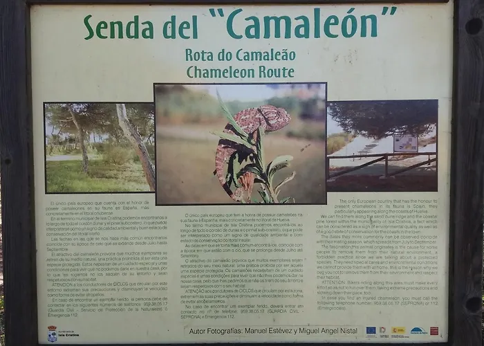 Edificio Santana Ii