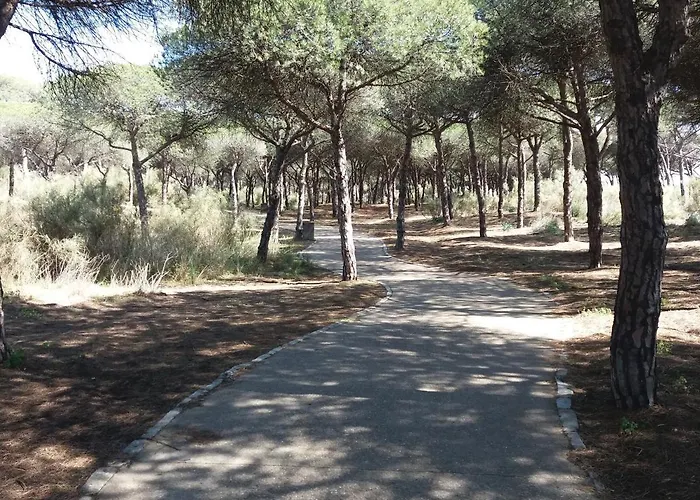 Edificio Santana Ii *