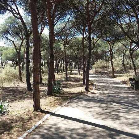 Appartamento Edificio Santana Ii *