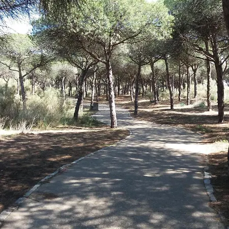 Edificio Santana Ii *